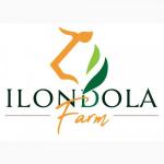 ILONDOLA FARMS
