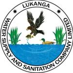 Information Technology Manager