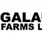 Galaunia Farms Limited