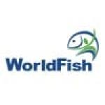Senior Research Associate