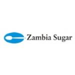 Data Analyst