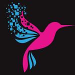 B2B Business Development Manager