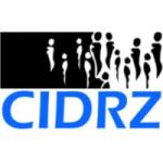 Data Associate