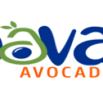 Nava Avocado Limited