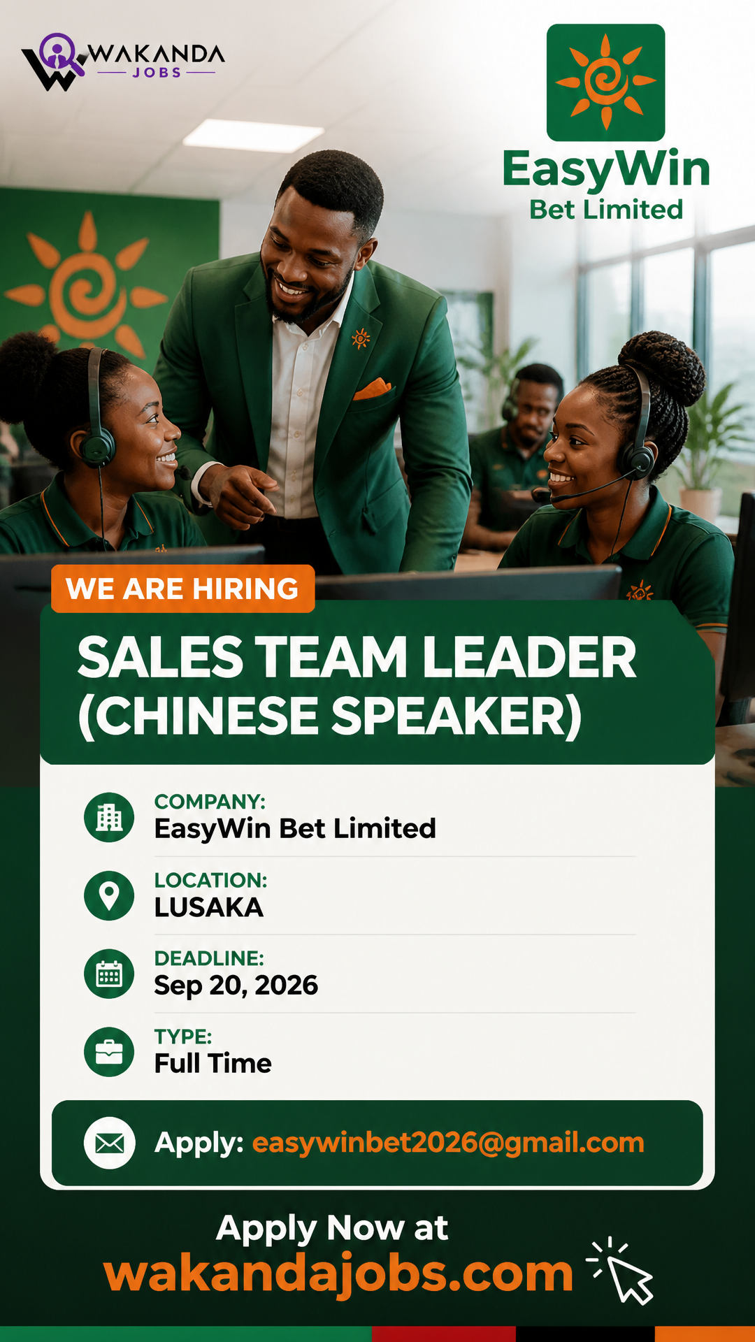 SALES TEAM LEADER (CHINESE SPEAKER)